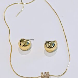 Earrings and thin necklace